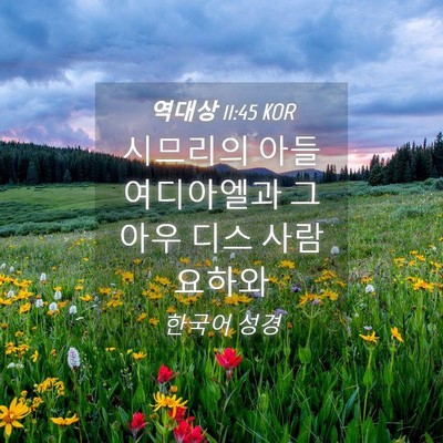 Picture 04 - 역대상 11:45 KOR - 시므리의 아들 여디아엘과 그 아우 - Bible Verse Picture