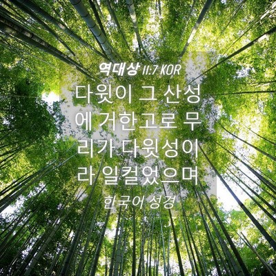 Picture 04 - 역대상 11:7 KOR - 다윗이 그 산성에 거한고로 무리가 - Bible Verse Picture