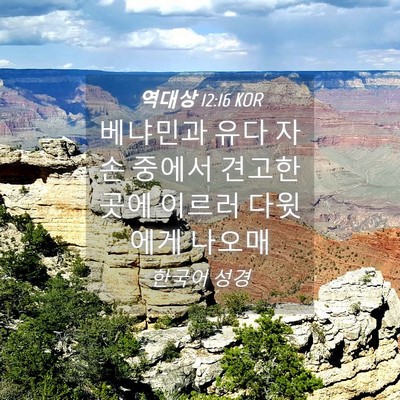 Picture 04 - 역대상 12:16 KOR - 베냐민과 유다 자손 중에서 견고한 - Bible Verse Picture