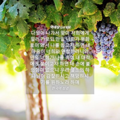Picture 04 - 역대상 12:17 KOR - 다윗이 나가서 맞아 저희에게 일러 - Bible Verse Picture