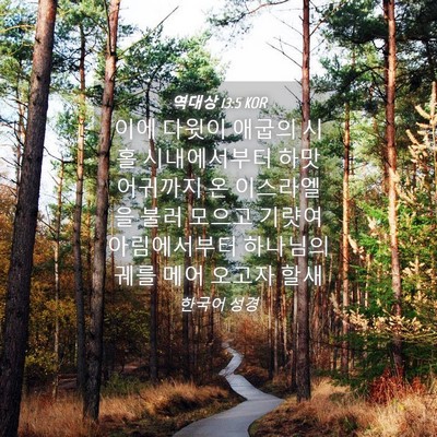 Picture 04 - 역대상 13:5 KOR - 이에 다윗이 애굽의 시홀 - Bible Verse Picture