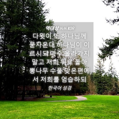 Picture 04 - 역대상 14:14 KOR - 다윗이 또 하나님께 묻자온대 - Bible Verse Picture