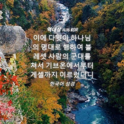 Picture 04 - 역대상 14:16 KOR - 이에 다윗이 하나님의 명대로 행하여 - Bible Verse Picture