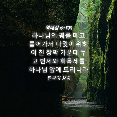Picture 04 - 역대상 16:1 KOR - 하나님의 궤를 메고 들어가서 다윗이 - Bible Verse Picture