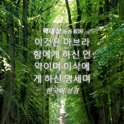 Picture 04 - 역대상 16:16 KOR - 이것은 아브라함에게 하신 언약이며 - Bible Verse Picture