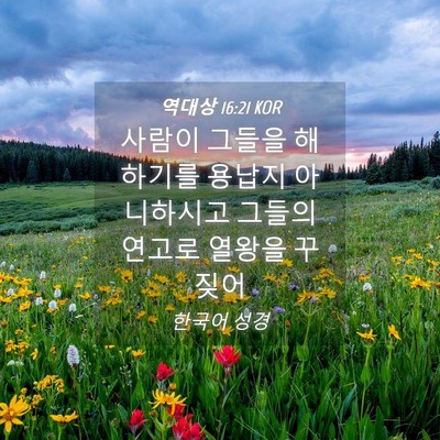 Picture 04 - 역대상 16:21 KOR - 사람이 그들을 해하기를 용납지 - Bible Verse Picture