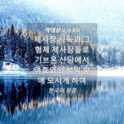 Picture 04 - 역대상 16:39 KOR - 제사장 사독과 그 형제 제사장들로 - Bible Verse Picture
