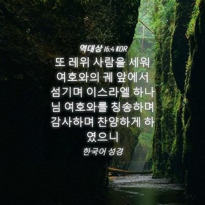 Picture 04 - 역대상 16:4 KOR - 또 레위 사람을 세워 여호와의 궤 - Bible Verse Picture