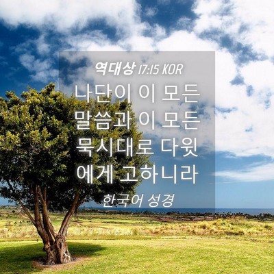 Picture 04 - 역대상 17:15 KOR - 나단이 이 모든 말씀과 이 모든 - Bible Verse Picture