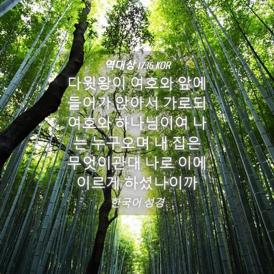 Picture 04 - 역대상 17:16 KOR - 다윗왕이 여호와 앞에 들어가 앉아서 - Bible Verse Picture