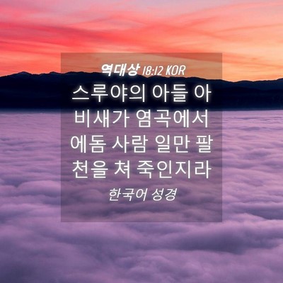 Picture 04 - 역대상 18:12 KOR - 스루야의 아들 아비새가 염곡에서 - Bible Verse Picture