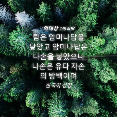 Picture 04 - 역대상 2:10 KOR - 람은 암미나답을 낳았고 암미나답은 - Bible Verse Picture