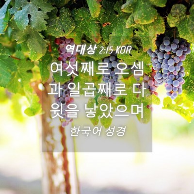 Picture 04 - 역대상 2:15 KOR - 여섯째로 오셈과 일곱째로 다윗을 - Bible Verse Picture