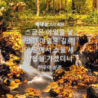 Picture 04 - 역대상 2:22 KOR - 스굽은 야일을 낳았고 야일은 길르앗 - Bible Verse Picture