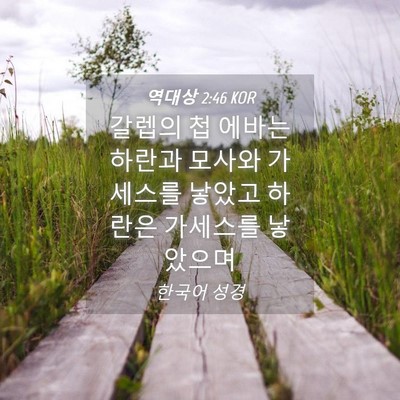 Picture 04 - 역대상 2:46 KOR - 갈렙의 첩 에바는 하란과 모사와 - Bible Verse Picture