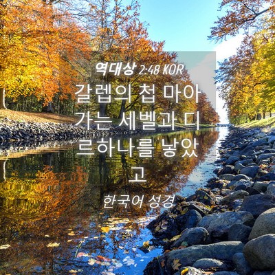 Picture 04 - 역대상 2:48 KOR - 갈렙의 첩 마아가는 세벨과 - Bible Verse Picture