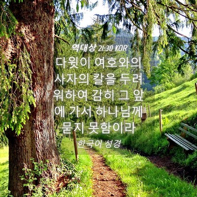 Picture 04 - 역대상 21:30 KOR - 다윗이 여호와의 사자의 칼을 - Bible Verse Picture
