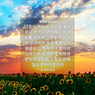 Picture 04 - 역대상 22:5 KOR - 다윗이 가로되 내 아들 솔로몬이 - Bible Verse Picture