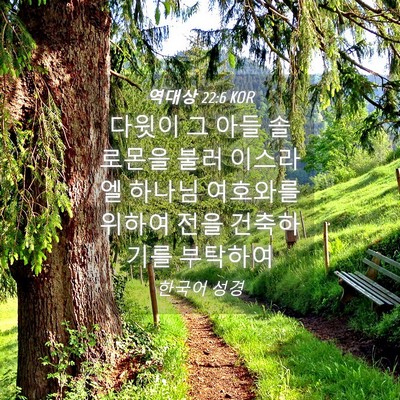Picture 04 - 역대상 22:6 KOR - 다윗이 그 아들 솔로몬을 불러 - Bible Verse Picture