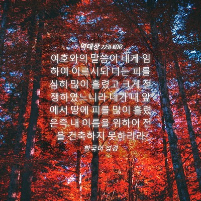 Picture 04 - 역대상 22:8 KOR - 여호와의 말씀이 내게 임하여 - Bible Verse Picture