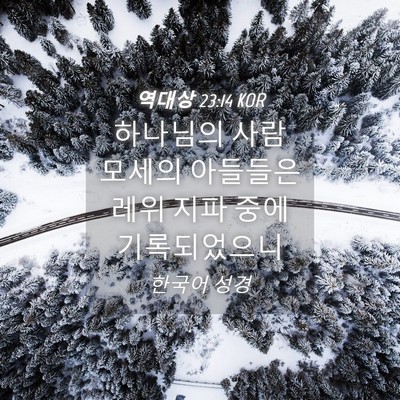 Picture 04 - 역대상 23:14 KOR - 하나님의 사람 모세의 아들들은 레위 - Bible Verse Picture