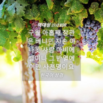 Picture 04 - 역대상 27:12 KOR - 구월 아홉째 장관은 베냐민 자손 - Bible Verse Picture