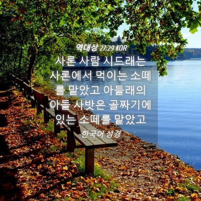 Picture 04 - 역대상 27:29 KOR - 사론 사람 시드래는 사론에서 먹이는 - Bible Verse Picture