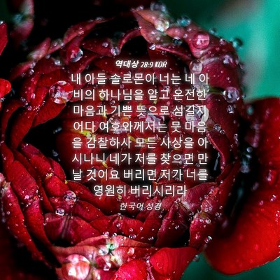 Picture 04 - 역대상 28:9 KOR - 내 아들 솔로몬아 너는 네 아비의 - Bible Verse Picture