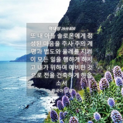 Picture 04 - 역대상 29:19 KOR - 또 내 아들 솔로몬에게 정성된 - Bible Verse Picture
