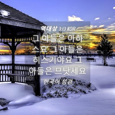 Picture 04 - 역대상 3:13 KOR - 그 아들은 아하스요 그 아들은 - Bible Verse Picture