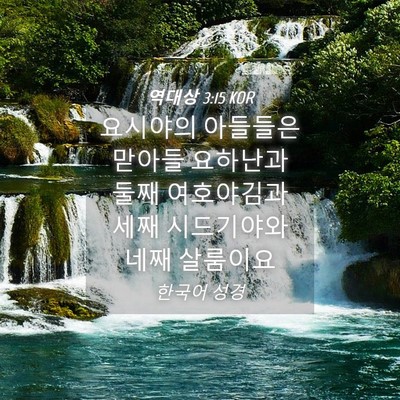Picture 04 - 역대상 3:15 KOR - 요시야의 아들들은 맏아들 요하난과 - Bible Verse Picture
