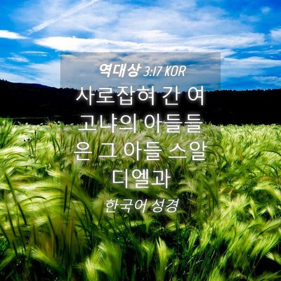 Picture 04 - 역대상 3:17 KOR - 사로잡혀 간 여고냐의 아들들은 그 - Bible Verse Picture