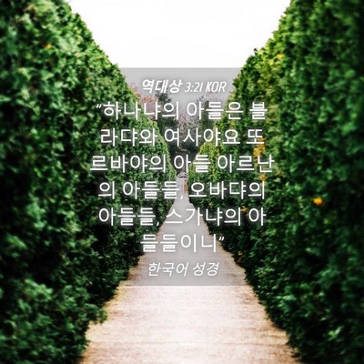 Picture 04 - 역대상 3:21 KOR - 
