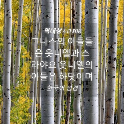 Picture 04 - 역대상 4:13 KOR - 그나스의 아들들은 옷니엘과 - Bible Verse Picture