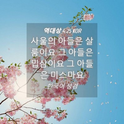 Picture 04 - 역대상 4:25 KOR - 사울의 아들은 살룸이요 그 아들은 - Bible Verse Picture