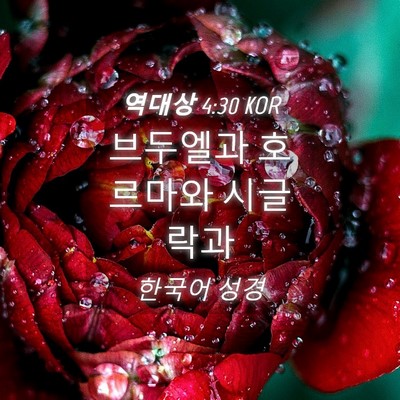 Picture 04 - 역대상 4:30 KOR - 브두엘과 호르마와 - Bible Verse Picture