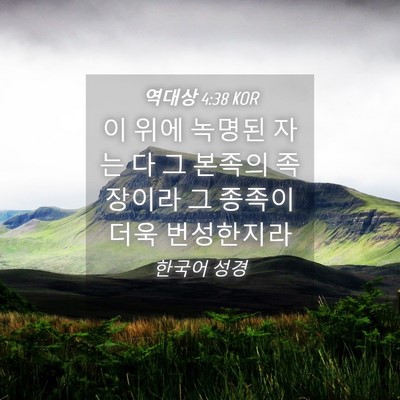 Picture 04 - 역대상 4:38 KOR - 이 위에 녹명된 자는 다 그 본족의 - Bible Verse Picture