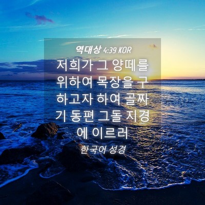 Picture 04 - 역대상 4:39 KOR - 저희가 그 양떼를 위하여 목장을 - Bible Verse Picture