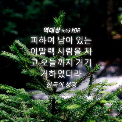 Picture 04 - 역대상 4:43 KOR - 피하여 남아 있는 아말렉 사람을 - Bible Verse Picture