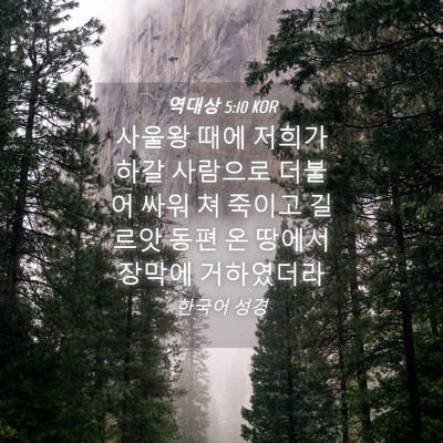 Picture 04 - 역대상 5:10 KOR - 사울왕 때에 저희가 하갈 사람으로 - Bible Verse Picture