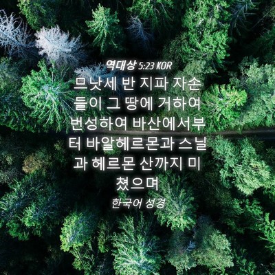 Picture 04 - 역대상 5:23 KOR - 므낫세 반 지파 자손들이 그 땅에 - Bible Verse Picture