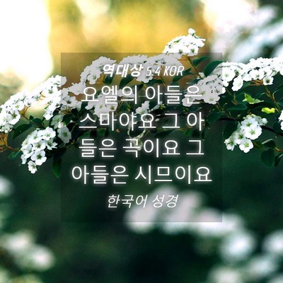 Picture 04 - 역대상 5:4 KOR - 요엘의 아들은 스마야요 그 아들은 - Bible Verse Picture