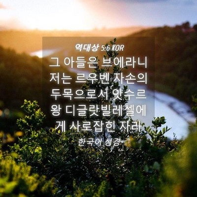Picture 04 - 역대상 5:6 KOR - 그 아들은 브에라니 저는 르우벤 - Bible Verse Picture
