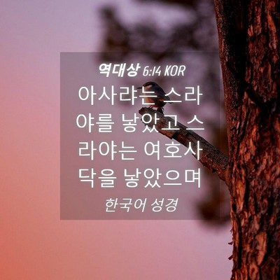 Picture 04 - 역대상 6:14 KOR - 아사랴는 스라야를 낳았고 스라야는 - Bible Verse Picture