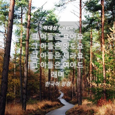 Picture 04 - 역대상 6:21 KOR - 그 아들은 요아요 그 아들은 잇도요 - Bible Verse Picture