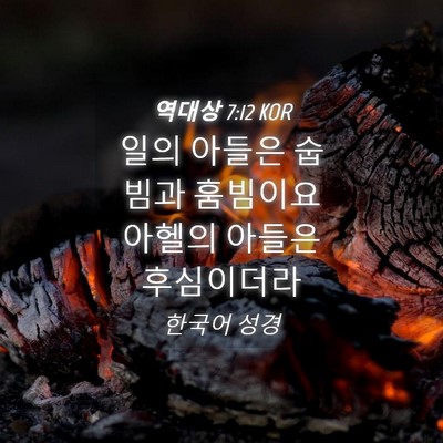 Picture 04 - 역대상 7:12 KOR - 일의 아들은 숩빔과 훔빔이요 아헬의 - Bible Verse Picture
