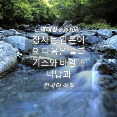 Picture 04 - 역대상 8:30 KOR - 장자는 압돈이요 다음은 술과 기스와 - Bible Verse Picture