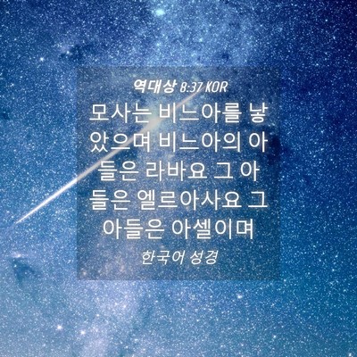 Picture 04 - 역대상 8:37 KOR - 모사는 비느아를 낳았으며 비느아의 - Bible Verse Picture