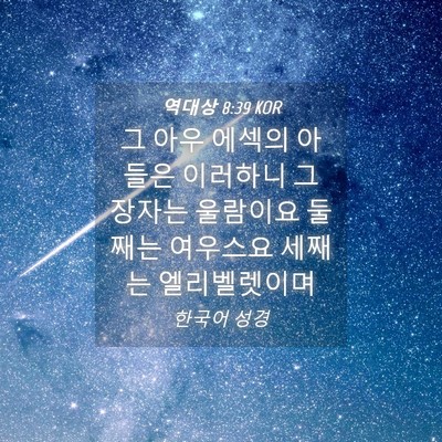 Picture 04 - 역대상 8:39 KOR - 그 아우 에섹의 아들은 이러하니 그 - Bible Verse Picture