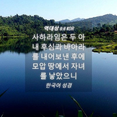 Picture 04 - 역대상 8:8 KOR - 사하라임은 두 아내 후심과 바아라를 - Bible Verse Picture